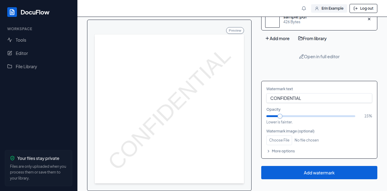 Watermark text drawn over the page in the live preview, before anything is run