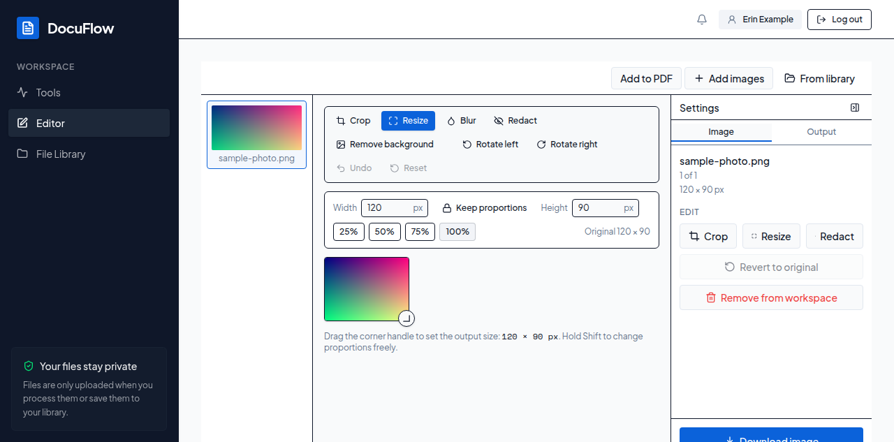 The Resize panel: Width and Height boxes, the Keep proportions lock, and the preset buttons, over the picture